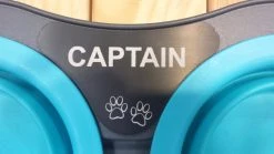 Monogram Mats.com Double Elevated Pop- Out Bowl Set Large Gray/Green 8 Monogram Mats.com Double Elevated Pop- Out Bowl Set Large Gray/Green