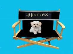 Matworks LTD Pet Personalized Director's Chair Custom Director's Chairs