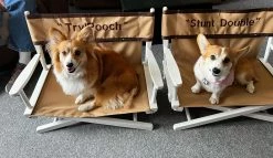 Matworks LTD Pet Personalized Director's Chair Custom Director's Chairs